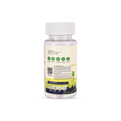 Biotin Gummies (Trial Pack) BittyBites
